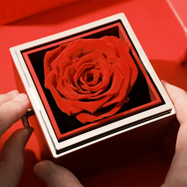 Caixa Rosa Eterna E Pulseira Casal De Projeção Fotográfica Bracelete Corda Preta Trançada Presente Para Amantes