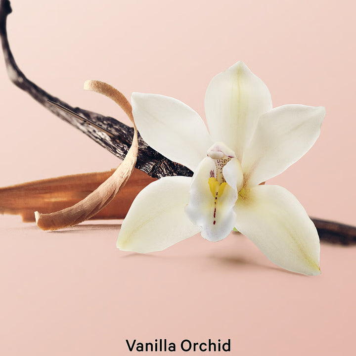 Óleo Corporal Brilhante de Baunilha, Orquídea e Sândalo